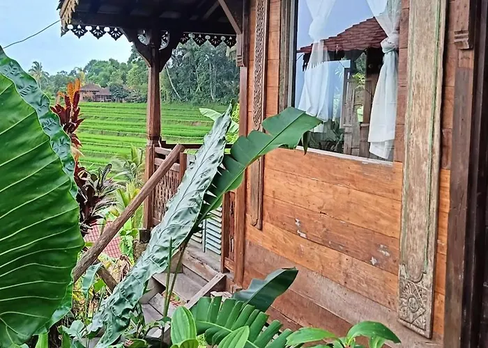 Séjour chez l'habitant D'ume Bendoel